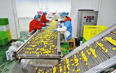 在鄉(xiāng)下辦廠有什么好項(xiàng)目(投資3萬以內(nèi)的小生意)